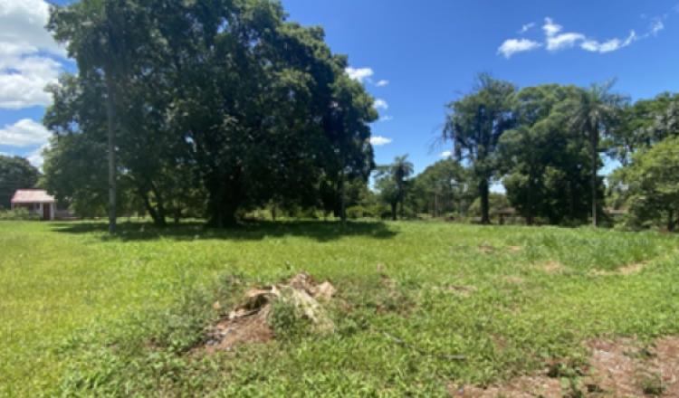 Terreno en venta - Hohenau